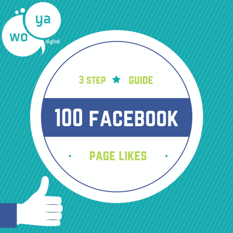 The 3 Step Guide to 100 Facebook Page Likes