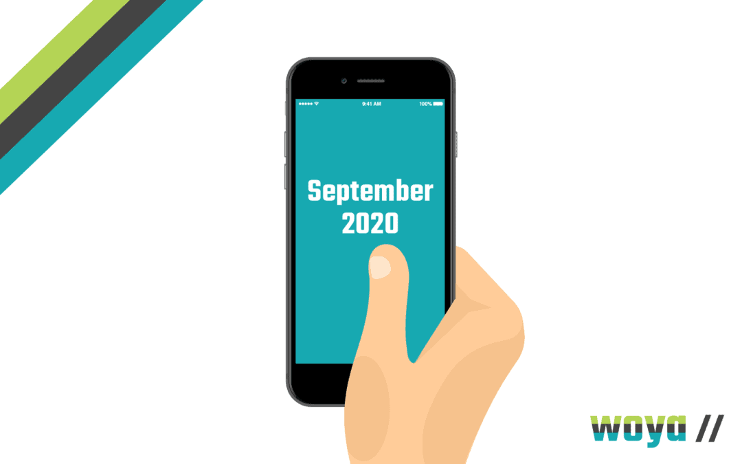 September 2020 – Mobile Friendly Website Cut-Off Date