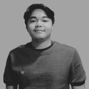 Web developer - Woya