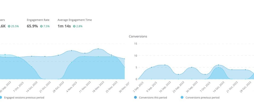 Case Study: Healthcare Software